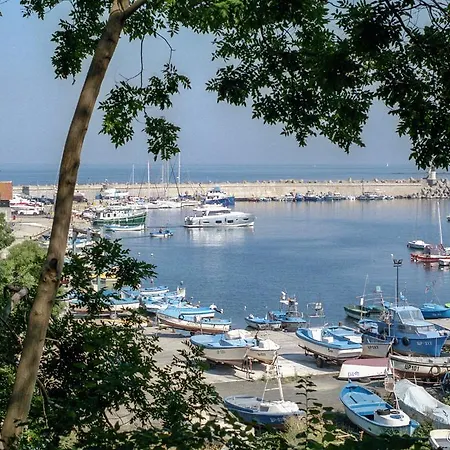 Sea View In 