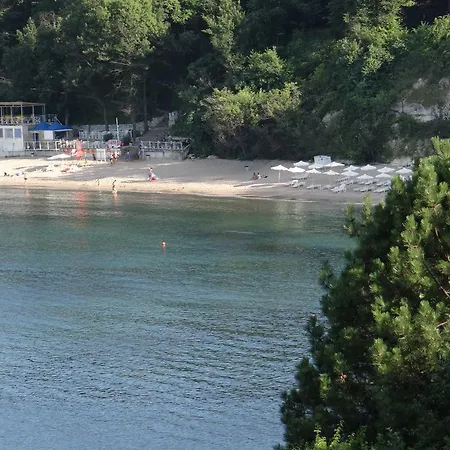 Sea View In 