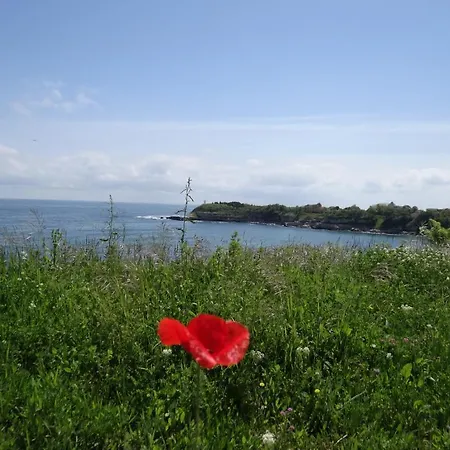 Sea View In 